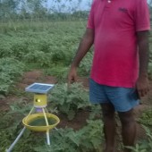SAAL – Organic vegitables, solar powered fly catcher, Sevayur, Madurai