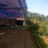 Lumiere Farm Spring Circle 2015, Varthur, Bangalore