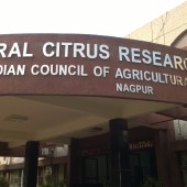 Central Citrus Research Institute, Nagpur